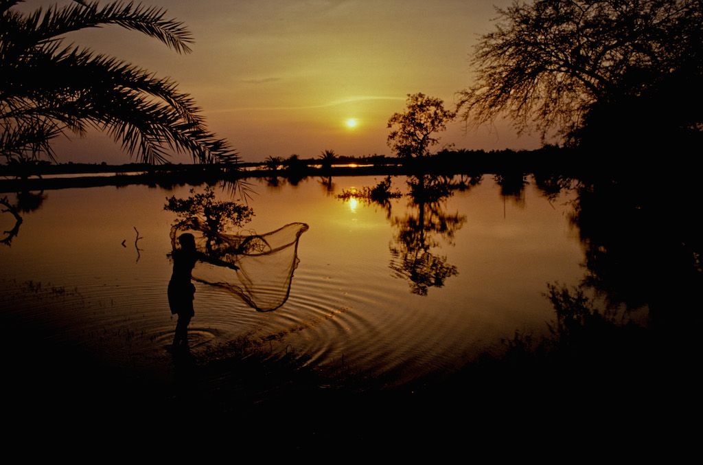 Fishing Pond Bangladesh