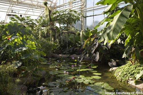 A view inside the Wisley glasshouse.