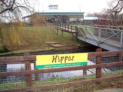 Phase 2 centred on the hippo enclosure, which comprises four interlinked ponds.