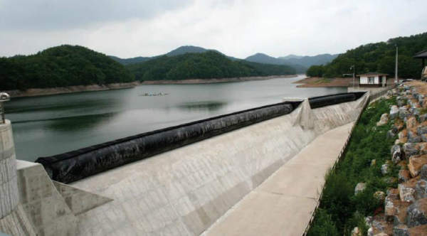 custom-designed rubber dam
